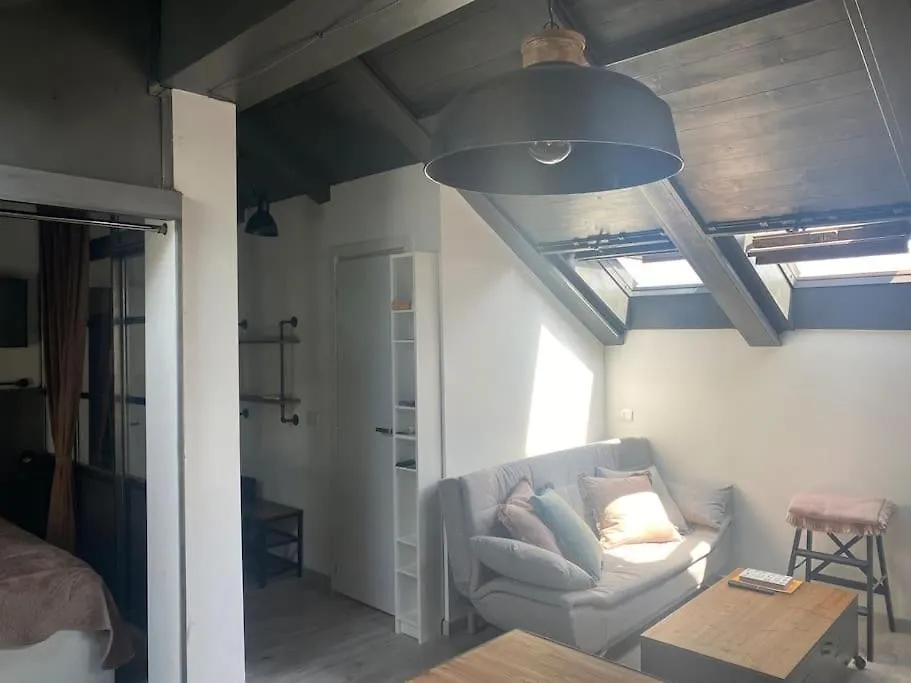 Industrial Cozy Loft Apartman Milánó